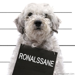 ronalssane
